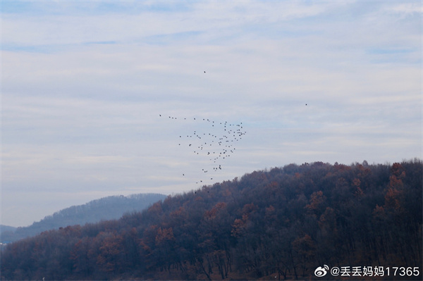 【图说淮南】——数九寒天
