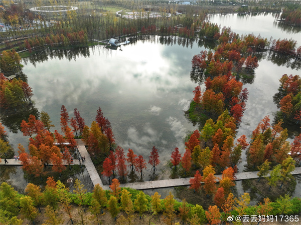 【图说淮南】——彩色的秋  ​​